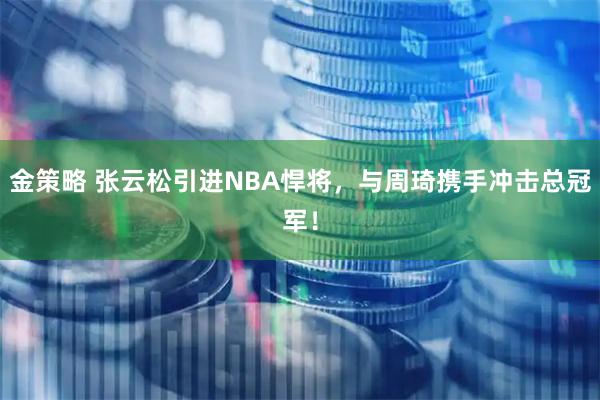 金策略 张云松引进NBA悍将，与周琦携手冲击总冠军！