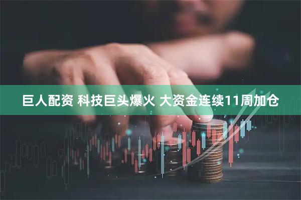 巨人配资 科技巨头爆火 大资金连续11周加仓
