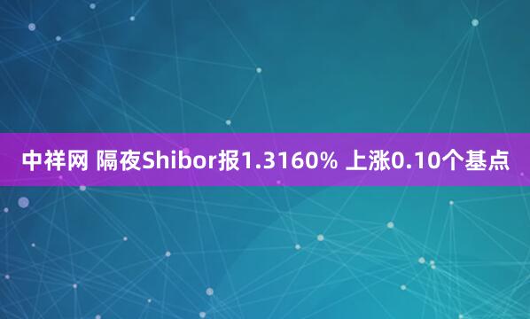 中祥网 隔夜Shibor报1.3160% 上涨0.10个基点