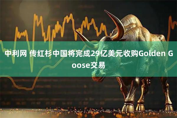 中利网 传红杉中国将完成29亿美元收购Golden Goose交易