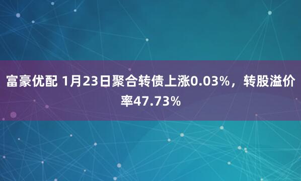 富豪优配 1月23日聚合转债上涨0.03%，转股溢价率47.73%